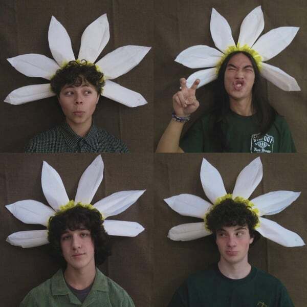 Cover art for Daisies